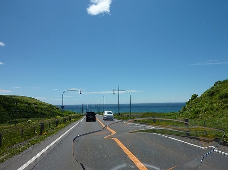 P1050039.jpg