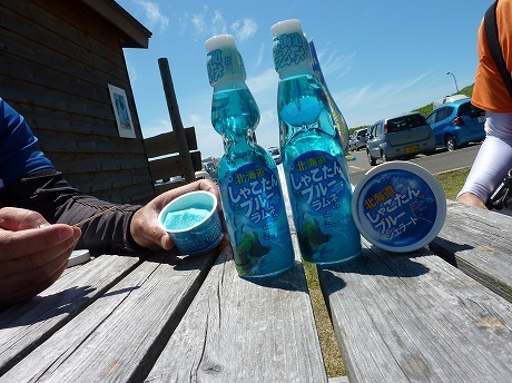 P1050147.jpg